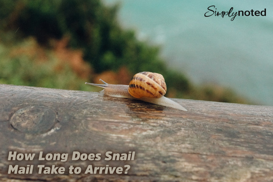 How Long Does Snail Mail Take to Arrive?