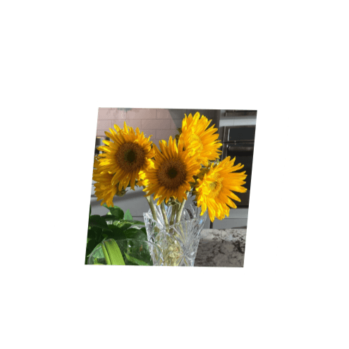 Thank You Sunflowers freeshipping - SimplyNoted